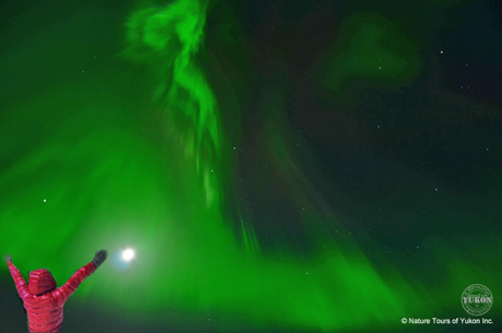 hunting for the Northern Lights- Yukon's great Aurora Hunt