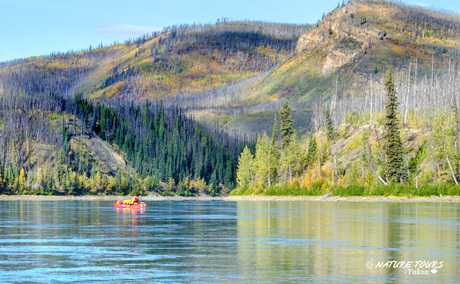 Big Salmon River canoe adventure with Nature Tours of Yukon