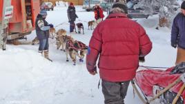 Pelly Crossing check point - Yukon Quest