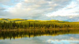 Teslin River | Yukon - Canada | landscape