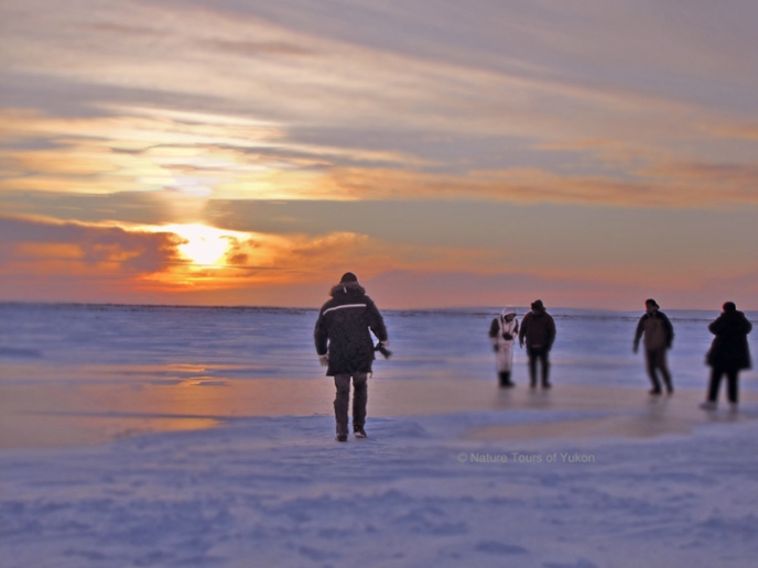 Arctic Ocean Yukon Winter Adventure Nature Tours of Yukon